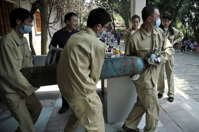 3月23日，海峡（福州）大熊猫研究交流中心，工作人员在抬氧气瓶。 柳涛/CFP_直击大熊猫“献血”过程