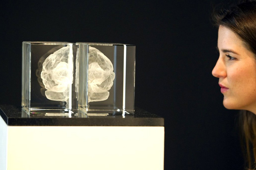 一名妇女正在欣赏艺术家凯瑟琳-道森的作品《灵魂》。这幅作品利用激光蚀刻技术创作，呈现了她本人的大脑。 MIGUEL MEDINA/东方IC _英国“人脑展”展出爱因斯坦大脑切片