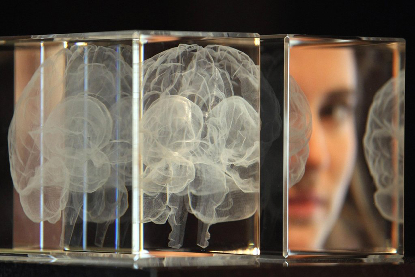 一名妇女正在欣赏艺术家凯瑟琳-道森的作品《灵魂》。这幅作品利用激光蚀刻技术创作，呈现了她本人的大脑。  Dan Kitwood/Getty Images/CFP_英国“人脑展”展出爱因斯坦大脑切片