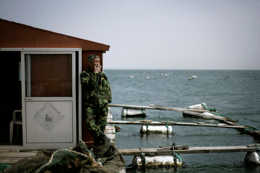 4月18日， 青岛崂山青山村，林玉队望着远方。林玉队和朋友一起经营养殖两年多的时间，再有半年多就到了收获期。三年的周期伴随着巨大的风险，如果遇到台风，他和朋友的投入将颗粒无收。能赚多少钱，他心里也没有底。 《城市信报》李隽辉/CFP_财新每周图片(2012.4.14-4.20) 