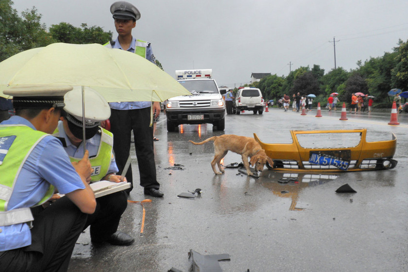 6月30日，四川广安，车祸现场。  思齐/东方IC _一家七口挤出租车被撞全部遇难