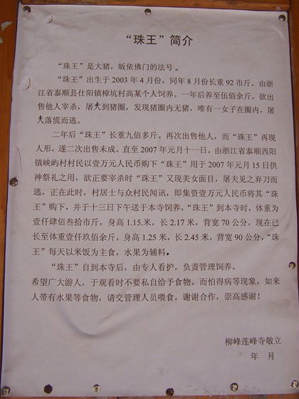 （资料图）2009年1月13日，浙江泰顺，墙上贴的猪王简介。  林小勇/CFP_体重2000斤活了9年 浙江“猪王”寿终正寝