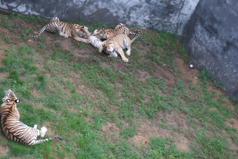 201207110021_480w.jpg