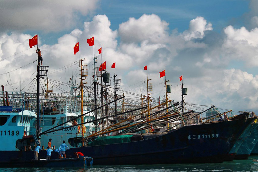 7月12日，在三亚水产码头整装待发的渔船。 霍立渤/CFP_海南最大规模渔船队抵达南沙永暑礁 
