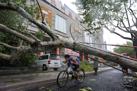 8月8日，杭州延安路西湖大道路口，一棵直径50厘米的梧桐树被大风连根拔起，路边施工的挡板也被吹落一地。  董旭明 /CFP