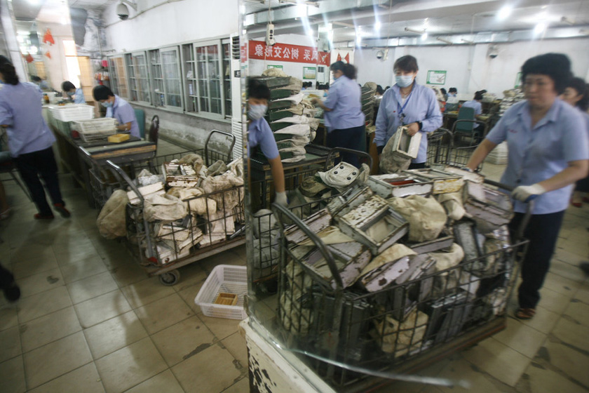 9月5日，青岛公交集团收款中心，点钞员清点散钞。  CFP_直击公交公司清点零钱