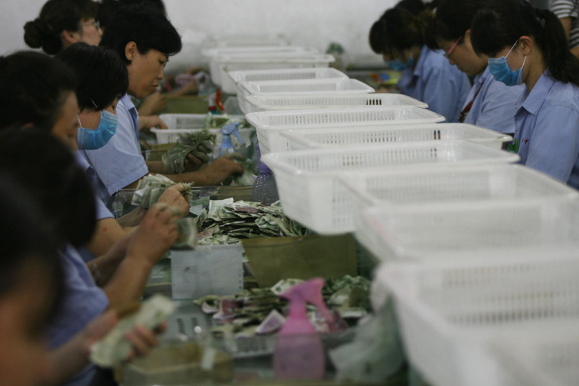 9月5日，青岛公交集团收款中心，点钞员清点散钞。  CFP_直击公交公司清点零钱