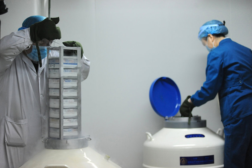 （具体拍摄日期不详）山西精子库。  东方IC_记者实地探访人类精子库