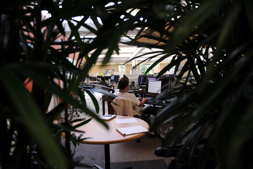 当地时间2010年5月26日，美国加州帕罗奥托，Facebook总部，绿色植物。   GABRIEL BOUYS/东方IC_名企办公环境PK