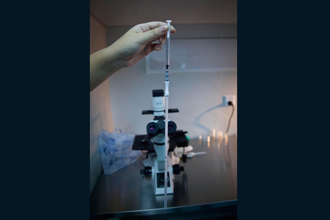 10月16日,深圳,胚胎培养室内一根用过了的取卵针. 陈文才 霍建斌 /cfp