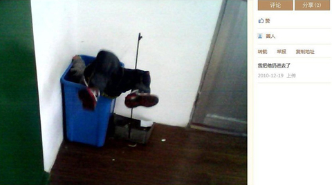 2012年10月24日，有网友发布图文微博爆料说，浙江温岭一幼儿园女教师虐待儿童，还拍了照。让人惊讶的是，这位无证上岗的“90后”教师称，此举“是为了闹着玩”，并且她的个人空间内还有大量虐童照片。当地教育局经过调查称，当事人系民办幼儿园“温岭蓝孔雀”小二班老师颜某，颜某在和一位家长聊天时提供了“手上有好玩的照片”，该家长转告了其他家长，一位家长在微博上给与了转发。目前，涉事幼儿园责令整改，涉事教师颜某则遭辞退。