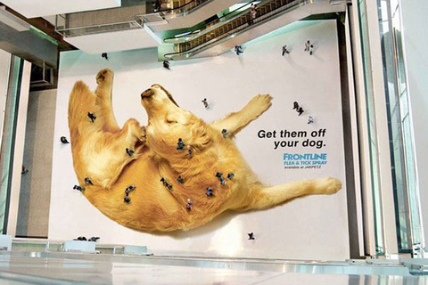宠物驱虫剂：巨大的海报贴在地上，从高处俯瞰，人成了宠物狗身上的跳蚤。