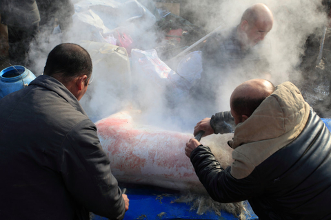 2月3日，吉林市欢喜年货大集上,现场宰杀生猪和鸡鸭鹅等活体家畜家禽生意异常火爆。   CFP