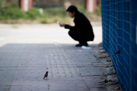 2013年2月19日，深圳龙华富士康厂区门口，发现往年的招聘盛景不再。据富士康内部消息透露，2013年3月份之前，包括深圳在内的富士康内地厂区将“一刀切”一人不招。此次暂停招聘原因仍不清楚。   CFP