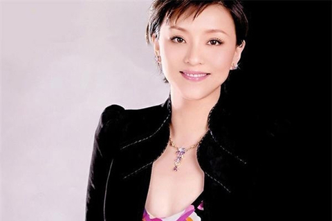 杨澜，老板工龄：2000年至今。产业：阳光媒体投资控股有限公司、lan澜珠宝 、《杨澜访谈录》、《天下女人》。70亿身家(2010胡润女富豪榜数据)