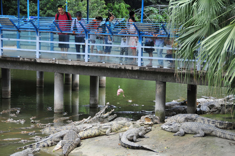 广州游客鳄鱼公园里钓鳄鱼