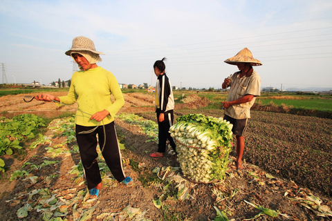 8月11日，浙江绍兴，受连续40°C高温的影响，许多农作物被烤焦、死亡或者受到虫害，但因高温易蒸发无法施药，使得农民损失惨重。   CFP