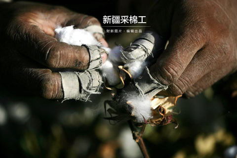 新疆采棉工