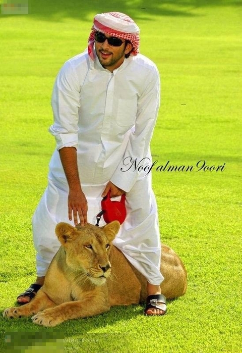 除了马术，他对于滑翔、冲浪、排球等体育项目个个都是驾轻就熟。他还是个“疯狂”的车迷。