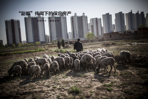 “副都”传闻下的保定房产