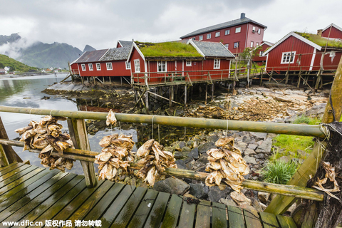1. 挪威：寻找冰川上的寂寞北极熊挪威北部以野生动物远征之旅、午夜太阳和北极光闻名于世。挪威北部还是挪威土著居民萨米人的故乡。究竟一个地方能有多美，美得像画一般？雷讷，这个位于罗弗敦群岛上的挪威小渔村，就是这样一个地方。这个“明信片”或“田园诗”一般的地方，每年会接纳上千名游客，来这里感受美景。从雷讷布林根山上拍摄的一张雷讷的照片被用于基本旅游册子和书籍的封面。1970年代后期，挪威最大的周刊Allers评选雷讷为挪威最美丽的村庄。 东方IC
