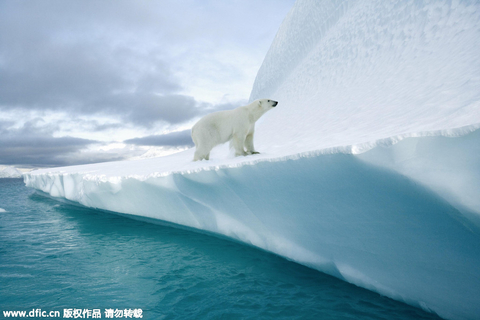 5.丹麦：格陵兰岛看冰山感受童话王国魅力格陵兰全年都有极光，但是夏天的午夜是看不到的。对大多数游客来说，这里是能观看到极光的边界地区。和在冰岛上一样，这里的大多数城市都能看见北极光。丹麦格陵兰岛，站在开始融化冰川上的北极熊。 东方IC