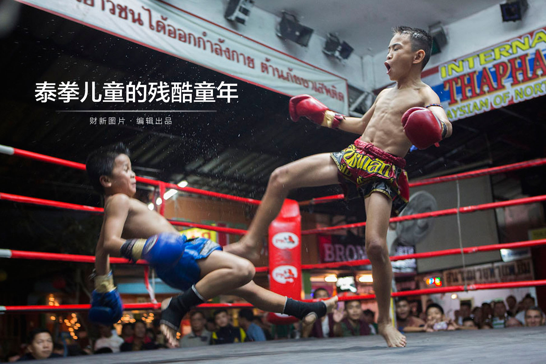 9岁泰拳选手肉搏脱贫路