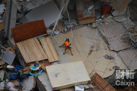 2015年12月21日，广东深圳，光明新区山体滑坡事故现场，搜救犬滑下废墟寻找生还者。 梁莹菲/财新记者