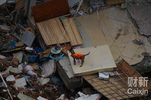 2015年12月21日，广东深圳，光明新区山体滑坡事故现场，搜救犬在废墟中寻找生还者。 梁莹菲/财新记者