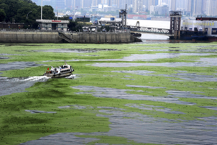 绿油漆