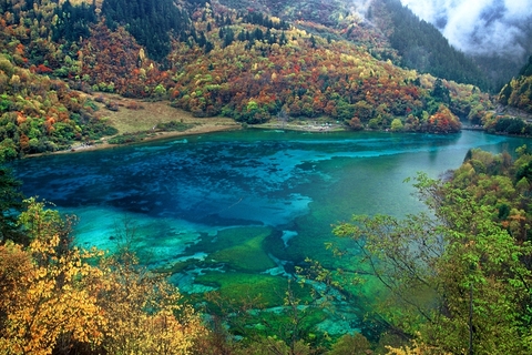 九寨沟五花海景点受重创 震前景色壮观