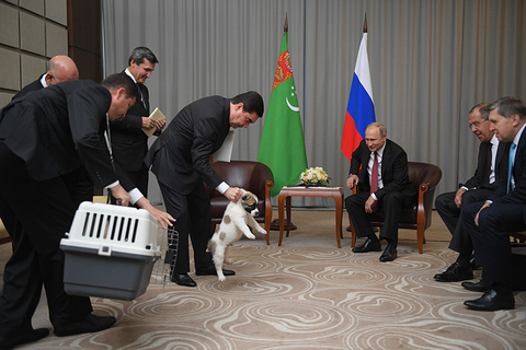 当地时间2017年10月11日，俄罗斯索契，俄罗斯总统普京与土库曼斯坦总统库尔班古力·别尔德穆哈梅多夫会面，并获赠土库曼斯坦中亚牧羊犬一只。视觉中国