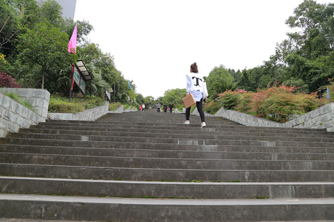 2017年10月16日，四川绵阳一高校的网红“天梯”。因为这所高校建在山上，所以学生每天都要爬326级台阶去上课。图为一位同学正在爬阶梯。东方ic
