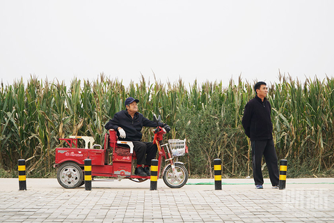 【13】仇小王村村民在观看植树造林              