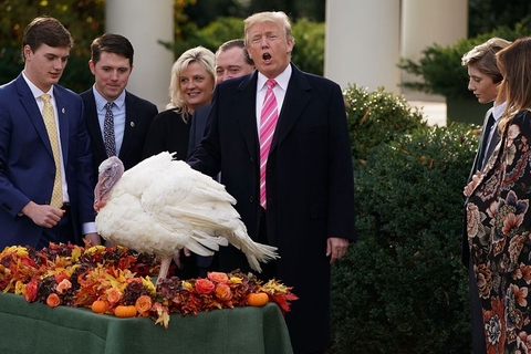 当地时间2017年11月21日，美国华盛顿，白宫举办赦免火鸡仪式，特朗普赦免火鸡“鸡腿”。图/视觉中国
