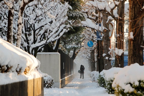 当地时间2018年1月23日，日本东京，日本1月22日起受一股迅速增强的低气压影响，各地普降大雪。图/视觉中国