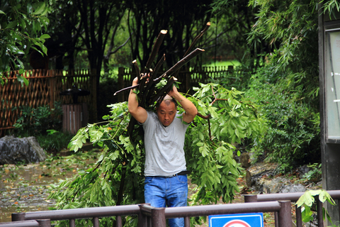 2019年8月10日，浙江绍兴，救援人员在绍兴蕺山公园门口清理被折断的树木。受超强台风“利奇马”影响，绍兴市区街头的树木被台风吹倒、折断，树枝散落一地。图/视觉中国