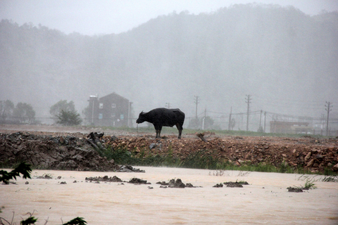 2019年8月10日，浙江温岭，台风登陆后的城南镇街头。图/视觉中国
