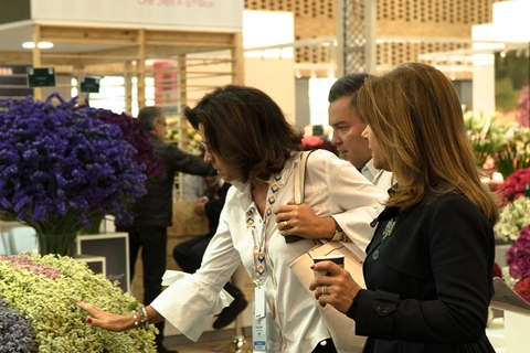 2019年10月2日，哥伦比亚波哥大，花卉展上，来自全球各国的花卉销售商在展台中选购鲜花。哥伦比亚是全球第二大鲜花出口国，仅排在花卉传统大国荷兰之后。图/哥伦比亚出口促进会