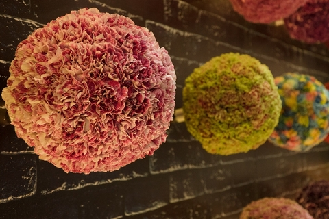 2019年10月2日，哥伦比亚波哥大，数百支康乃馨组成了硕大的花球。图/哥伦比亚出口促进会