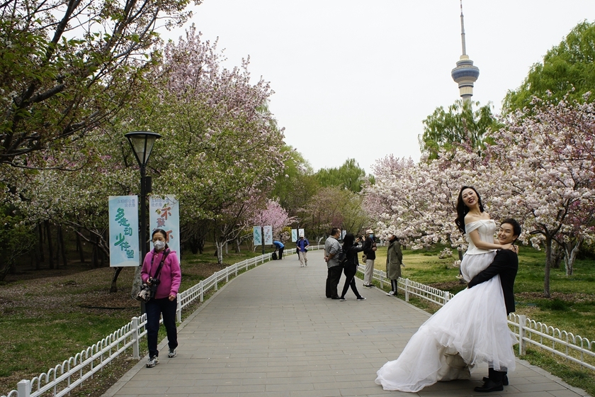 北京婚纱公园_北京北海公园