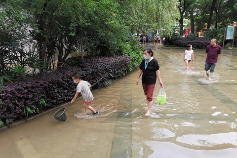 2020年6月29日，武汉，市民在马路上捕鱼。6月28日8时至29日14时，武汉市普降大暴雨，小区湖里鱼儿外逃。图/人民视觉
