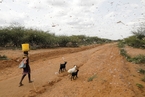 一周天下：肯尼亚蝗灾，南方暴雨……