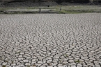 美国西部大片区域遭遇大旱