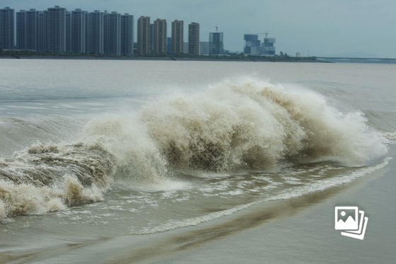 台风“梅花”登陆浙江舟山普陀 登陆时中心附近最大风力14级